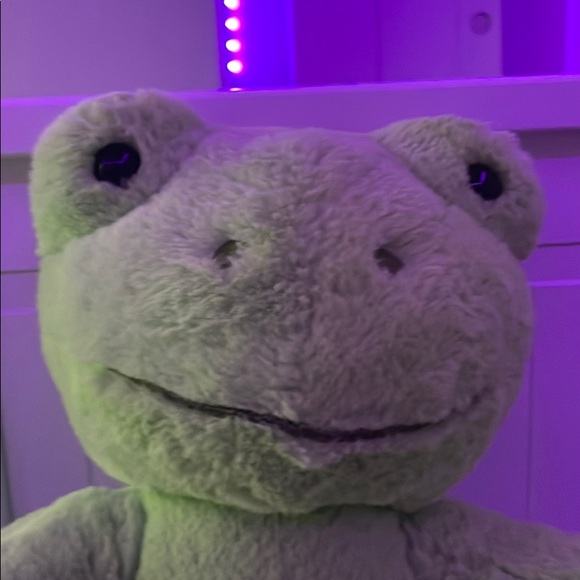 frogo465